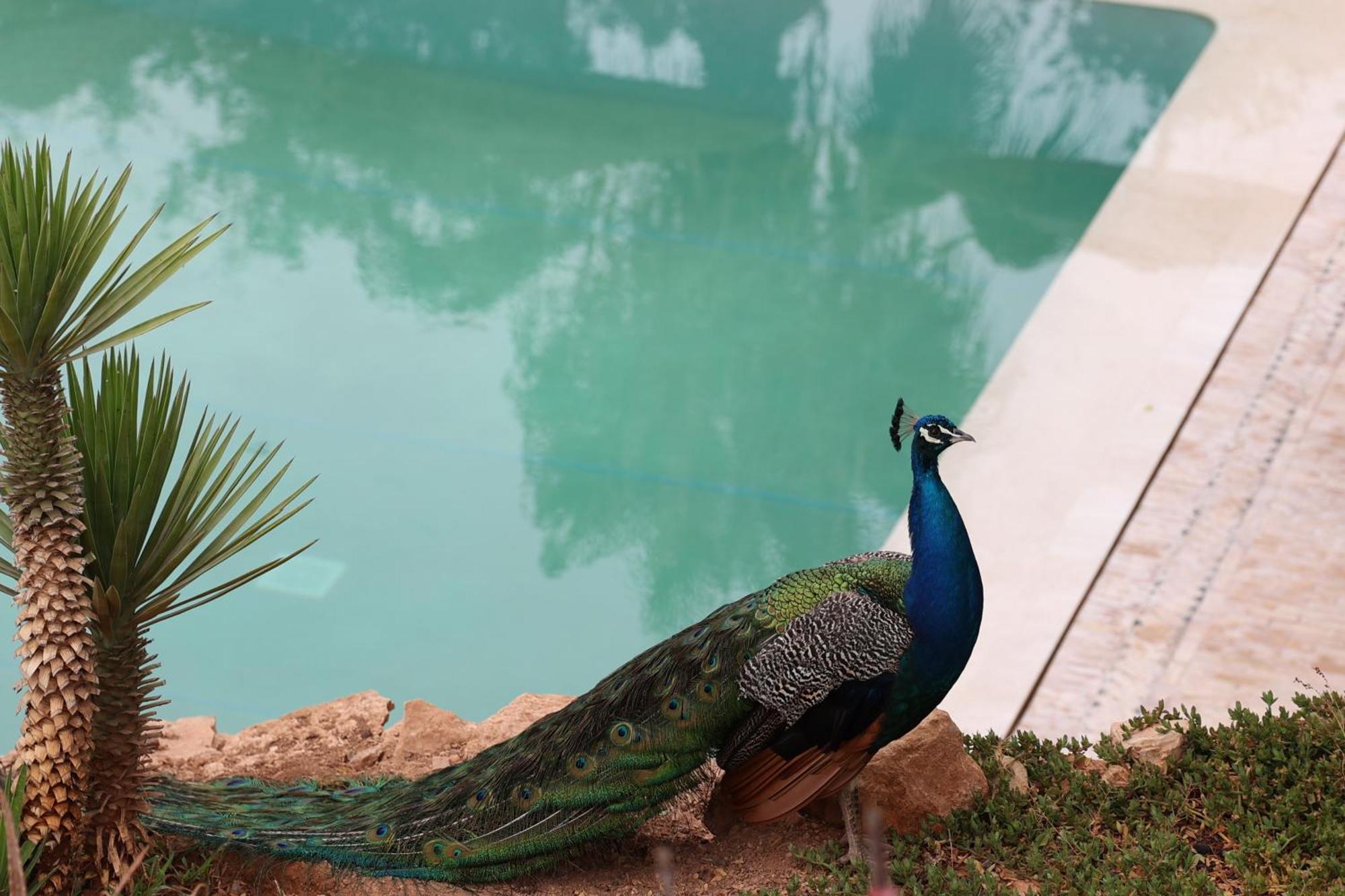 Paradis Nomade Azrarag Exteriér fotografie